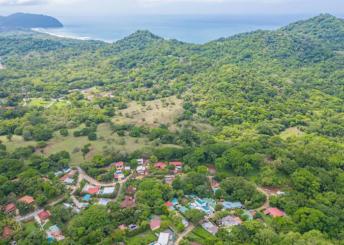 Tiburon Galano - Playa Carrillo * Puerto Carrillo
